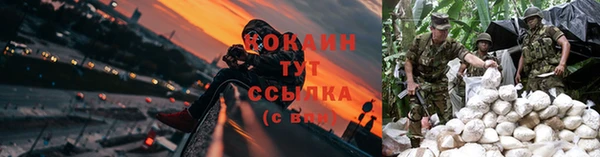 соль ск Алексеевка