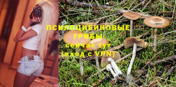 соль ск Алексеевка
