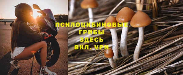 соль ск Алексеевка