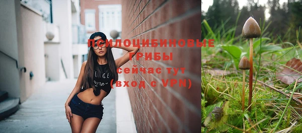 a pvp Алзамай