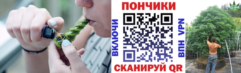 закладка  Киселёвск  Конопля семена 